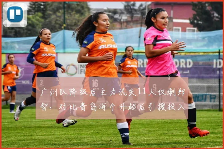 广州队降级后主力流失11人仅剩郑智，对比青岛海牛升超后引援投入超3000万反超半数中超队